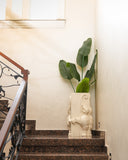 A tall green potted plant with large tropical leaves displayed in a decorative white elephant-shaped planter on a staircase landing against a cream-colored wall.