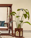A stylish planter adds natural beauty and freshness to this elegant living room, handmade in Lahore.

