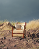 Groovy zaviya sofa chair in nature. 