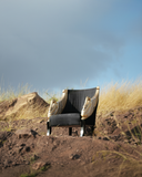 Elegant black Swan Chair in nature perfect for home decor in Lahore, Pakistan.